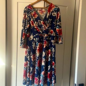 Meera lane stretchy fit and flare dress size 1x